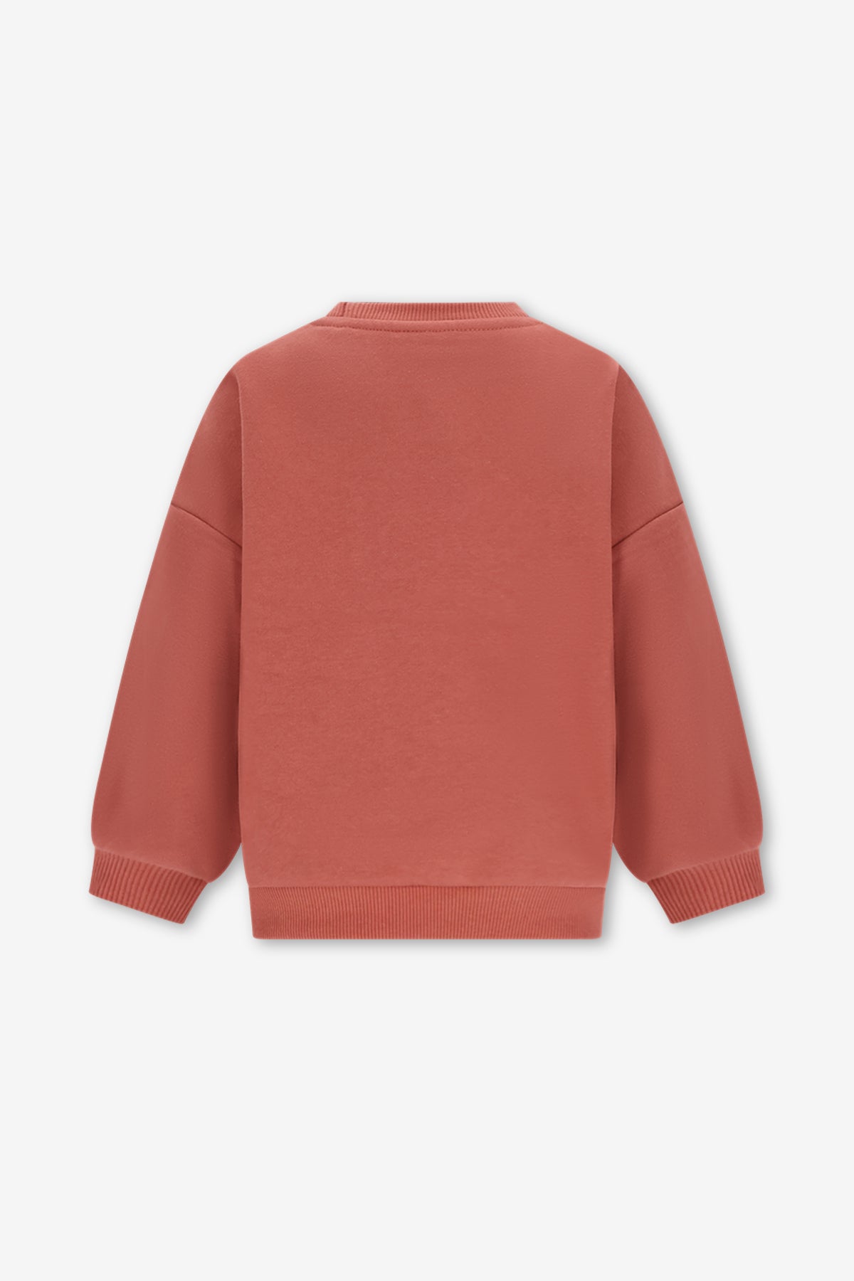 BILLIE SWEATER BROWN BOLD COLORS