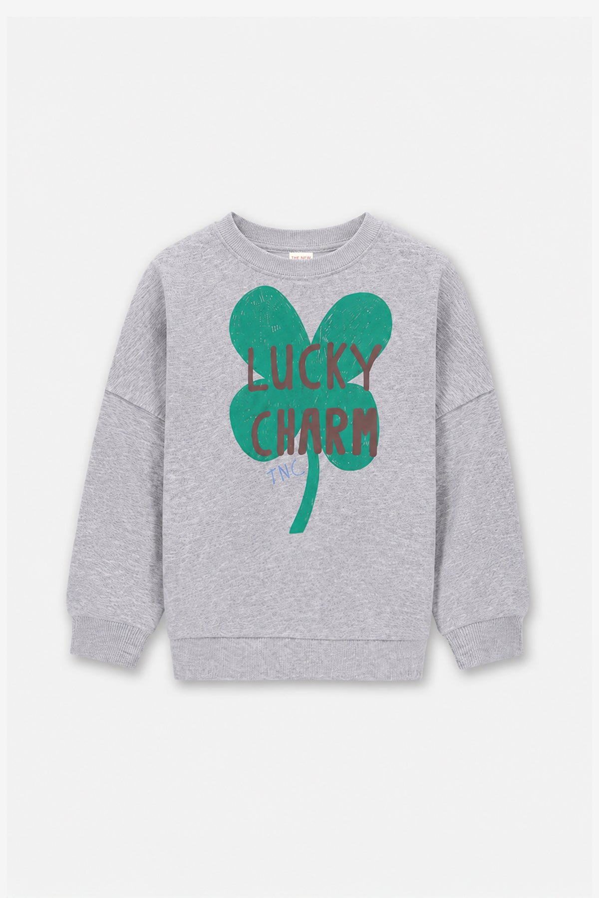 BILLIE SWEATER GRIJS WILD AT HEART