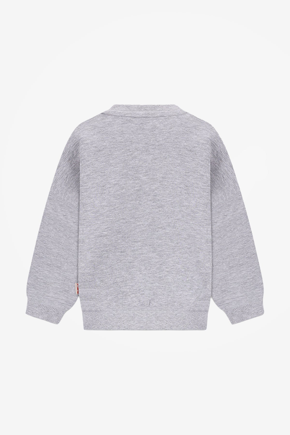 BILLIE SWEATER GRIJS WILD AT HEART