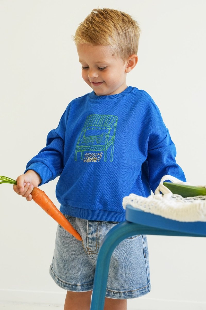 Benja sweater blauw Coco - The New Chapter Store
