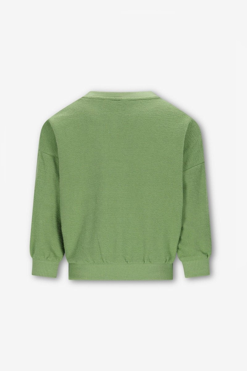 Billie Sweater Lichtgroen - The New Chapter Store