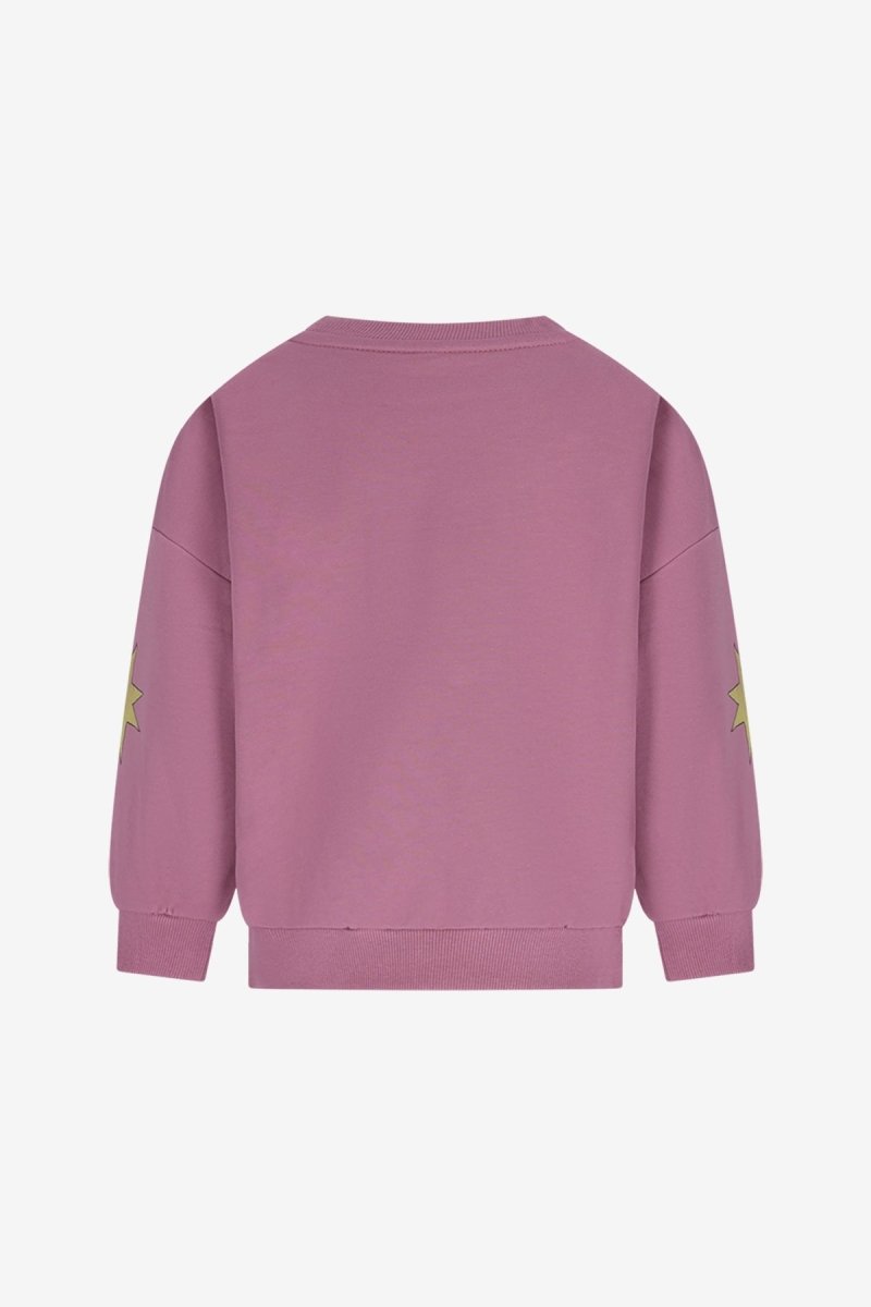 Billie Sweater Paars Magic - The New Chapter Store
