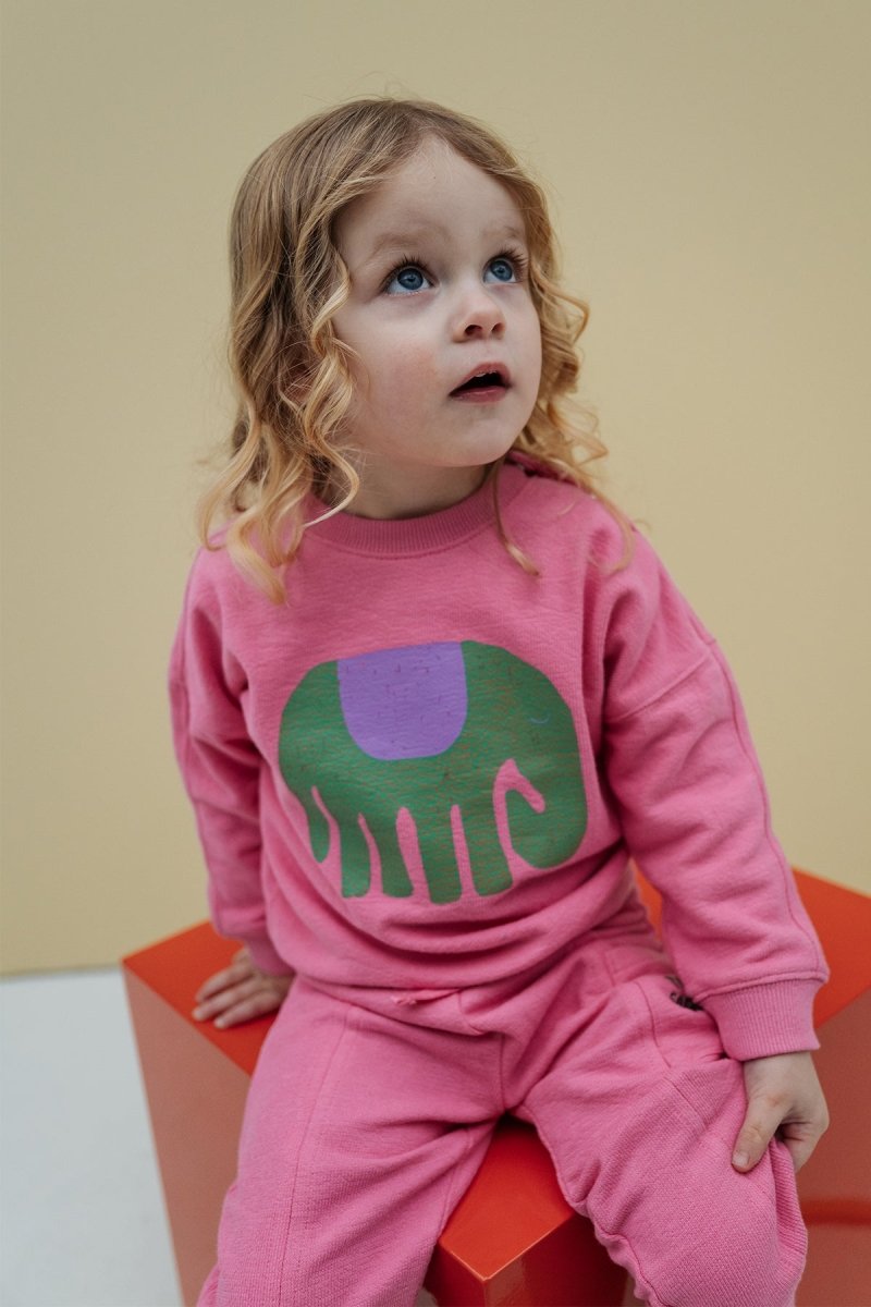 Bo Sweater Roze - The New Chapter Store