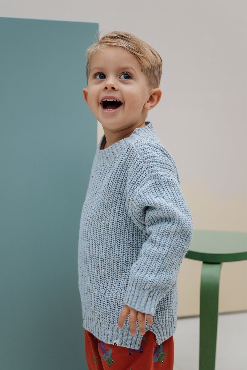 Jamie Knitted Trui Blauw - The New Chapter Store