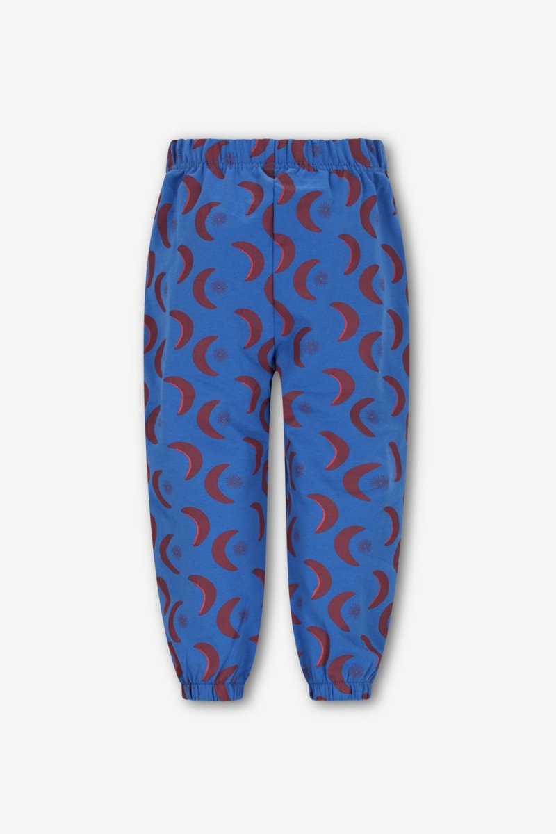 Wolf Jogger Blauw - The New Chapter Store