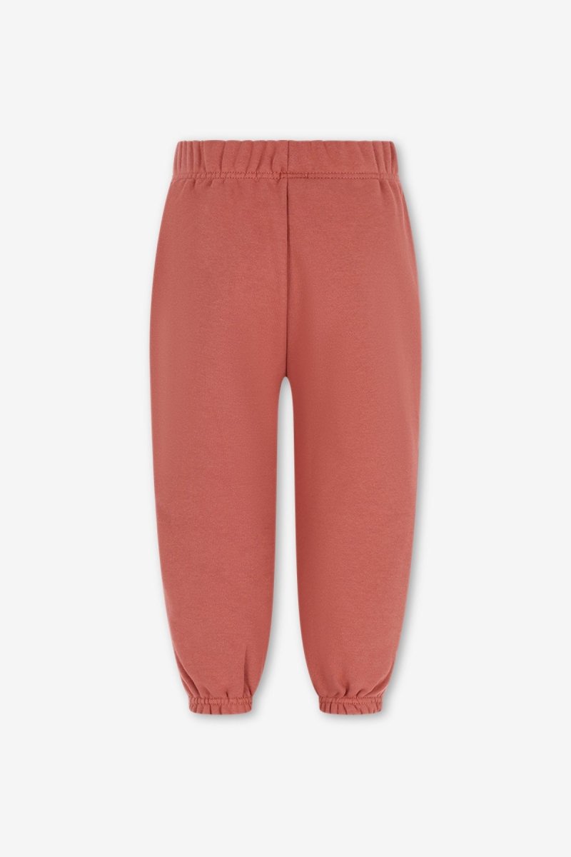 WOLF SWEATPANTS BRUIN BOLD COLORS - The New Chapter Store