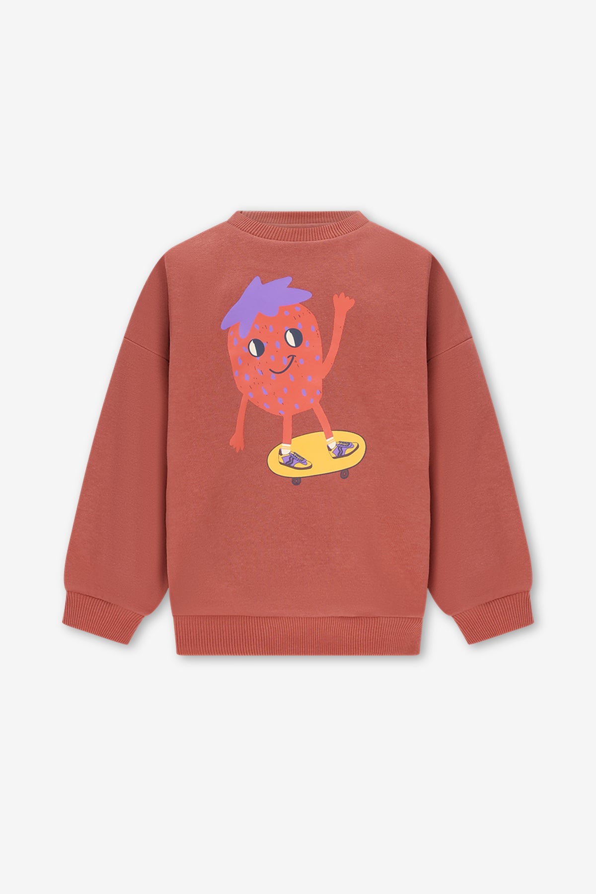 BILLIE SWEATER BRUIN BOLD COLORS