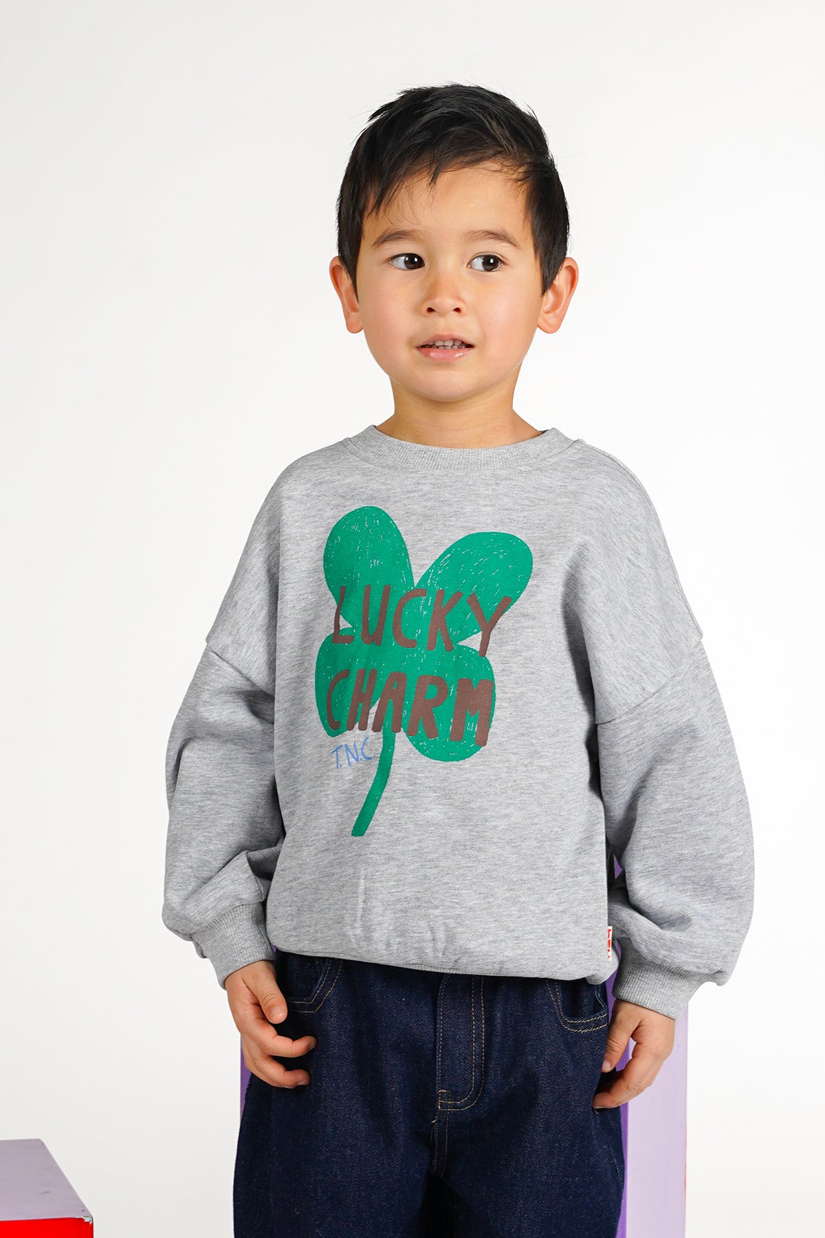 BILLIE SWEATER GRIJS WILD AT HEART