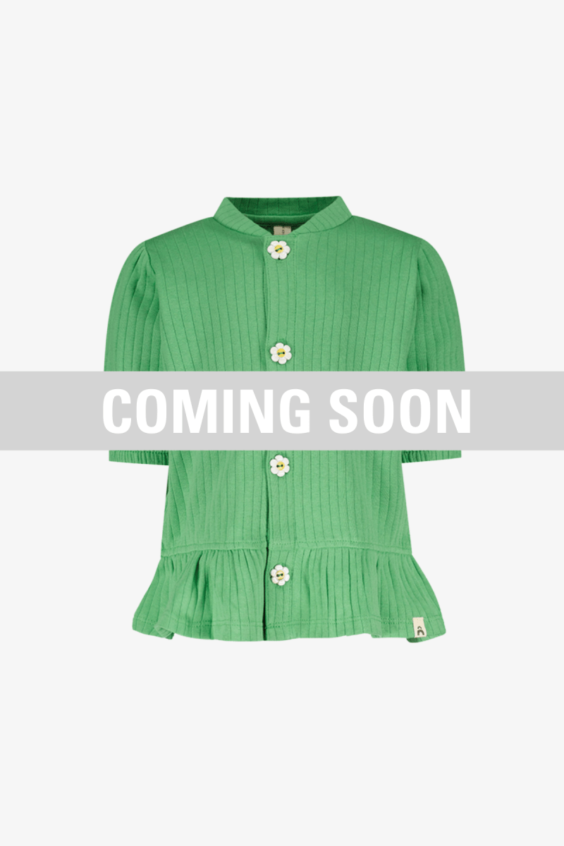 Amy blouse groen Coco - The New Chapter Store