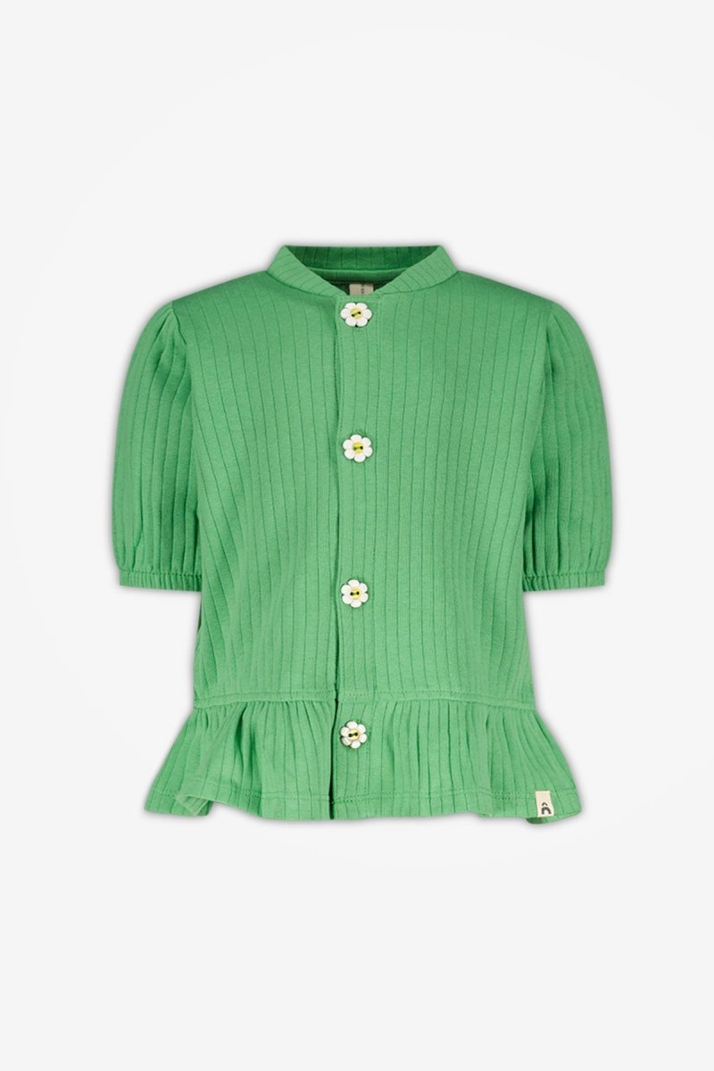 Amy blouse groen Coco - The New Chapter Store