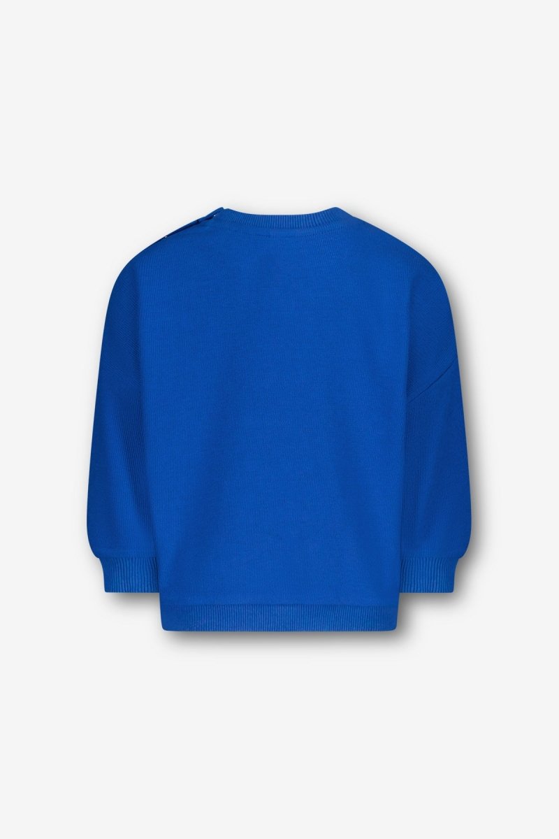 Benja sweater blauw Coco - The New Chapter Store