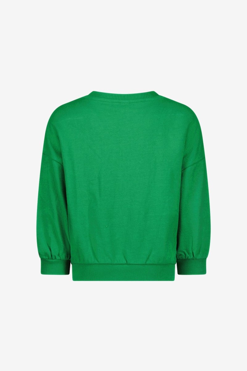 Benja Sweater Groen - The New Chapter Store