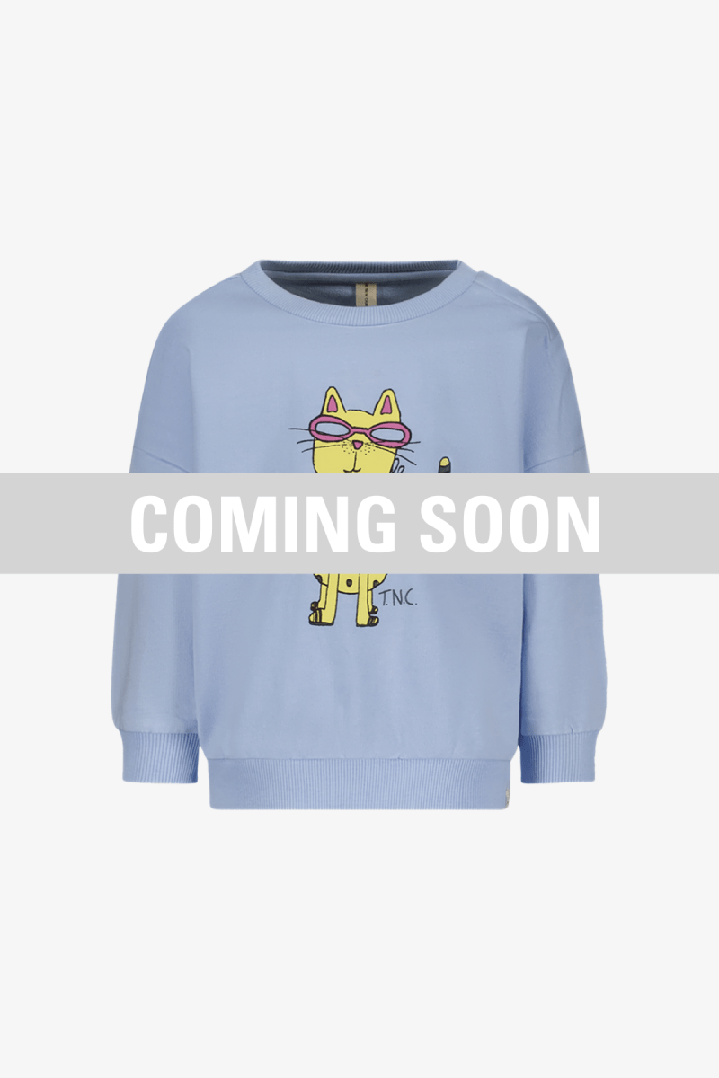 Billie sweater blauw vacances - The New Chapter Store