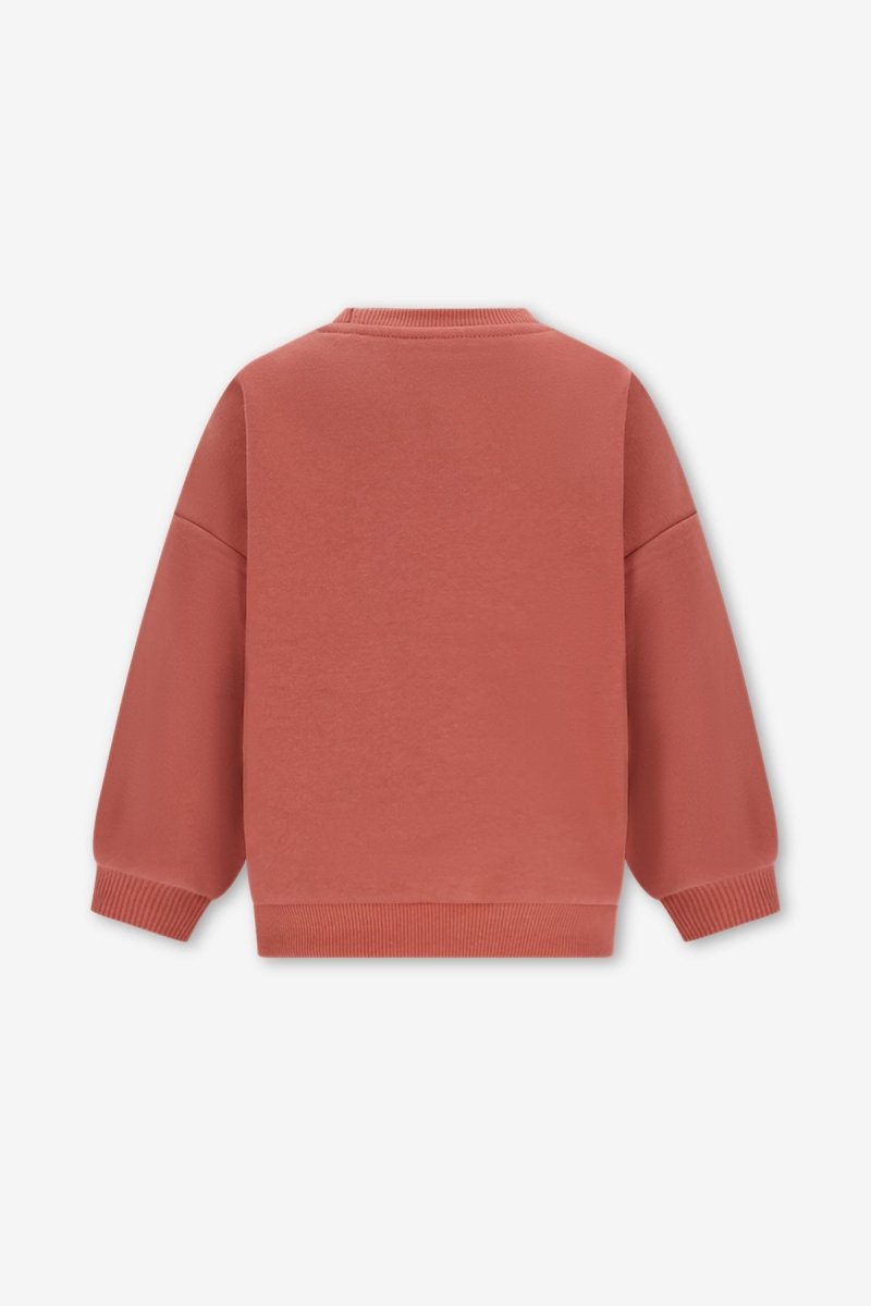 BILLIE SWEATER BRUIN BOLD COLORS - The New Chapter Store