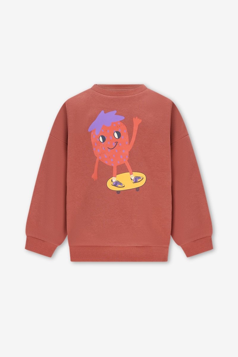 BILLIE SWEATER BRUIN BOLD COLORS - The New Chapter Store