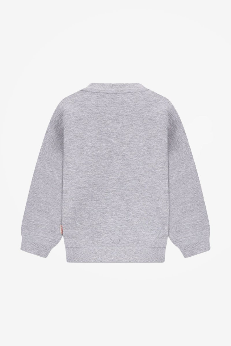 BILLIE SWEATER GRIJS WILD AT HEART - The New Chapter Store