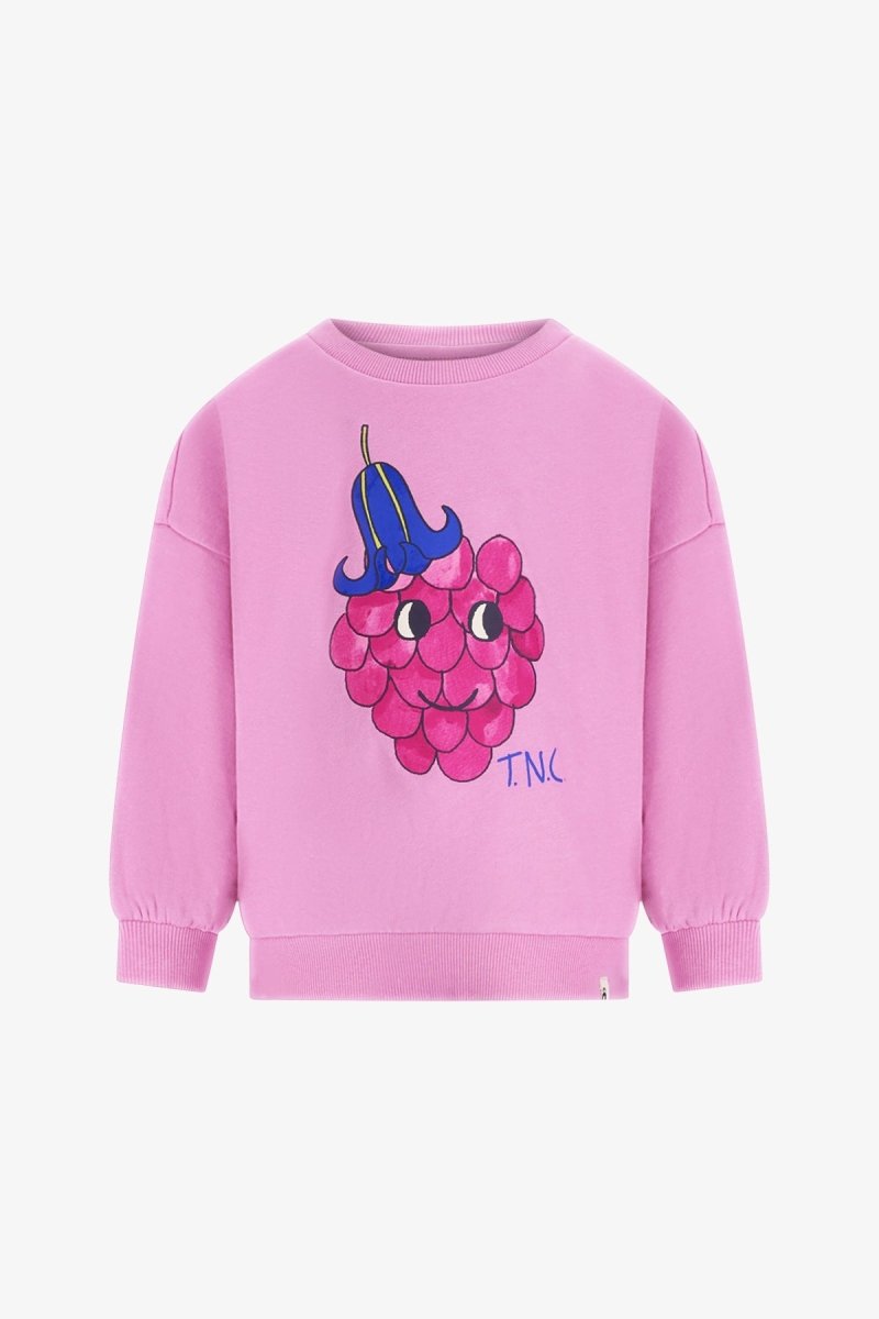 Billie Sweater Roze Magic - The New Chapter Store