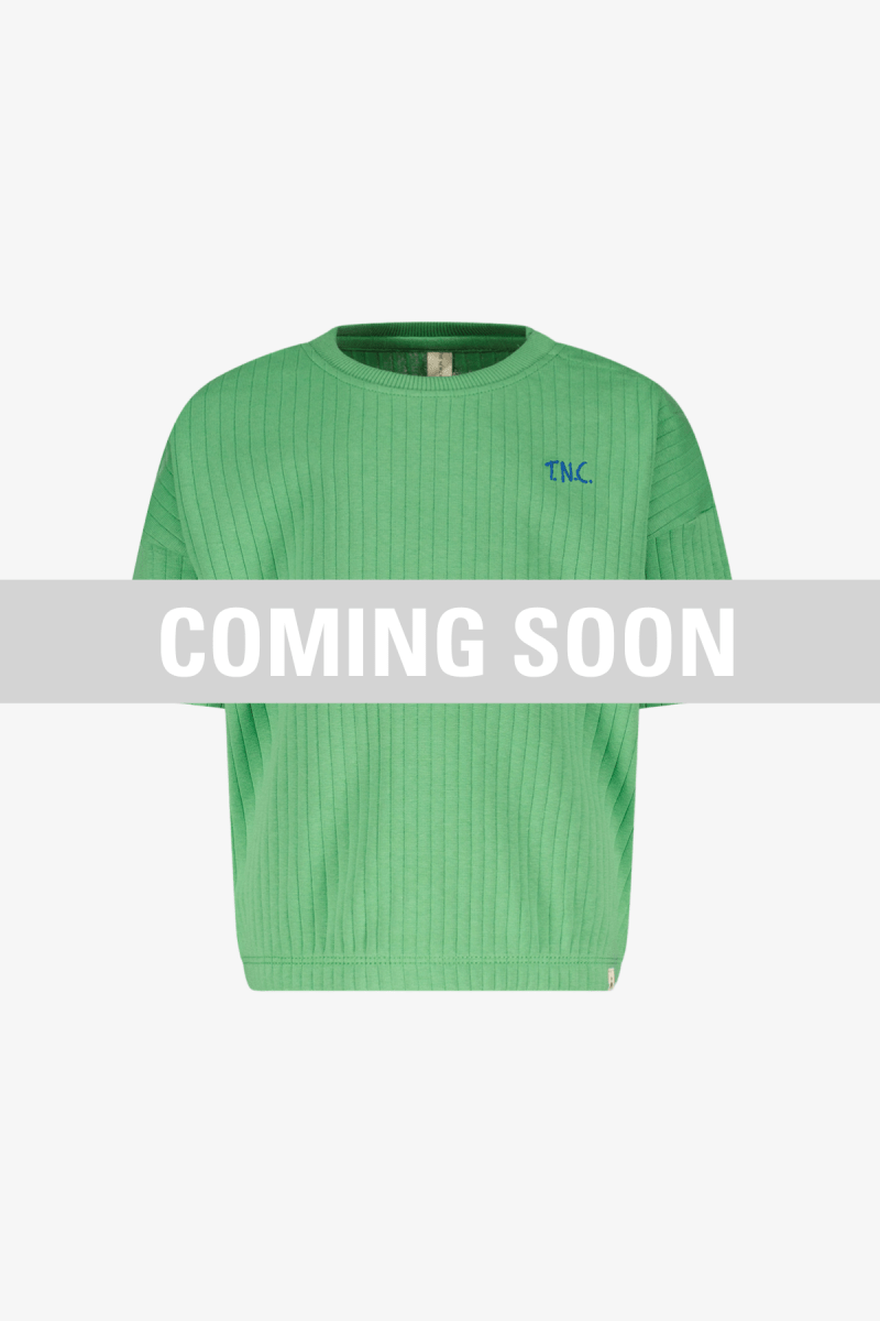 Cesar sweater groen Coco - The New Chapter Store