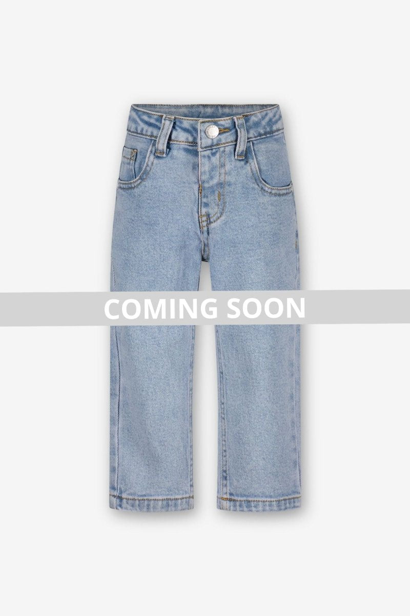 Riley broek denim Birdie - The New Chapter Store