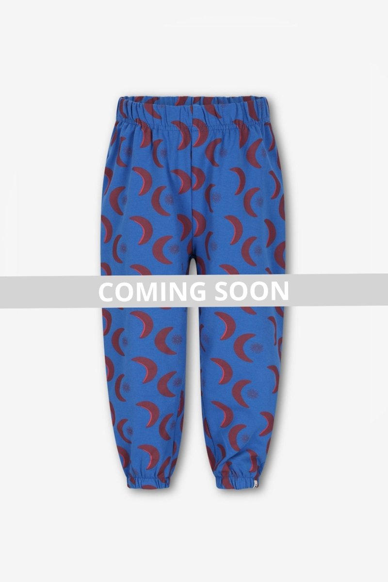 Wolf Jogger Blauw - The New Chapter Store