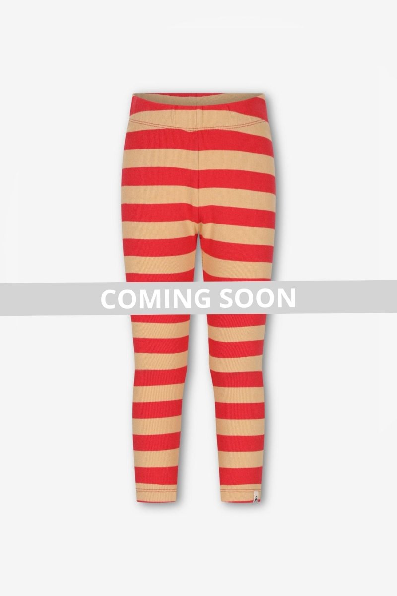 Zane The New Chapter legging stripe - The New Chapter Store