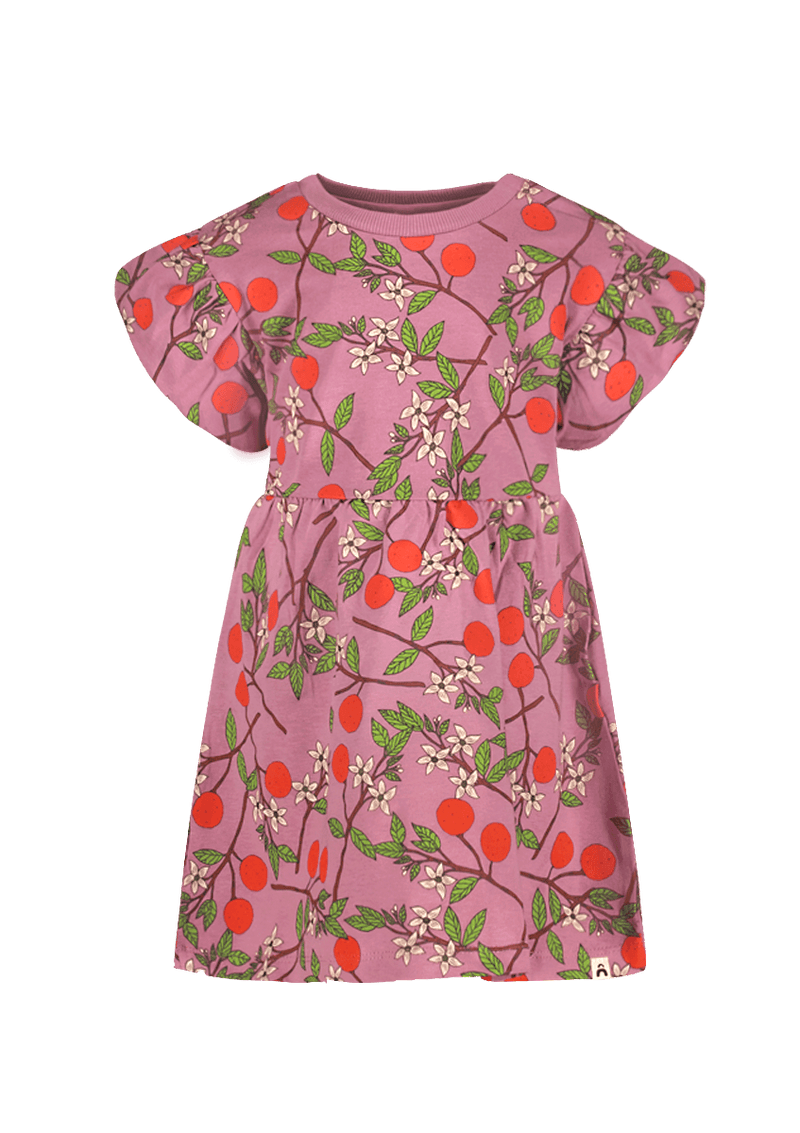 Maan The New Chapter dress pink - The New Chapter Store