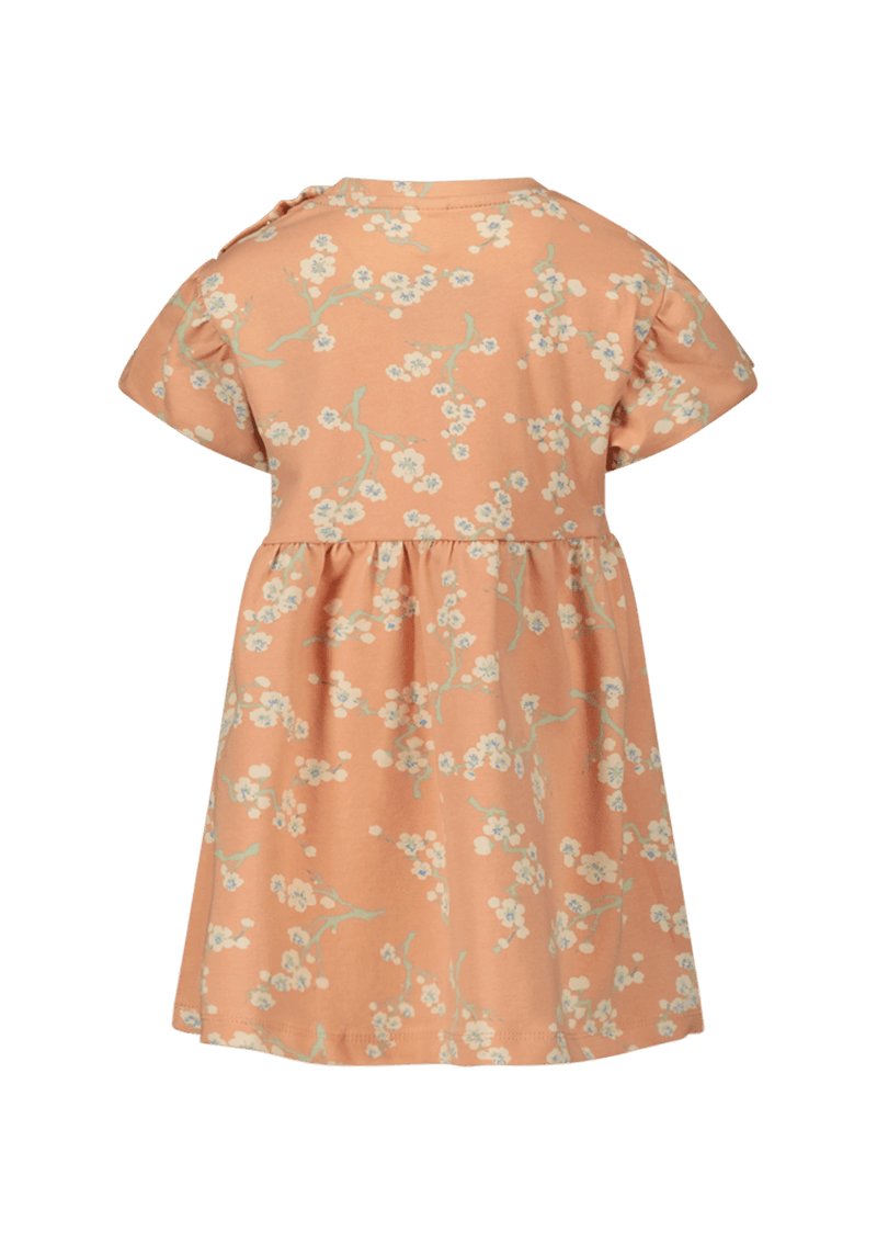 Niene dress peach - The New Chapter Store