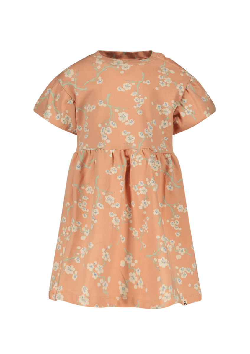 Niene dress peach - The New Chapter Store
